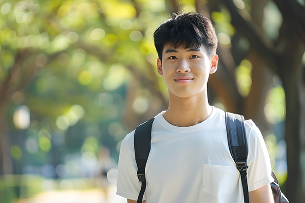 2025西京学院在广东各专业招生人数