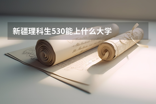 新疆理科生530能上什么大学
