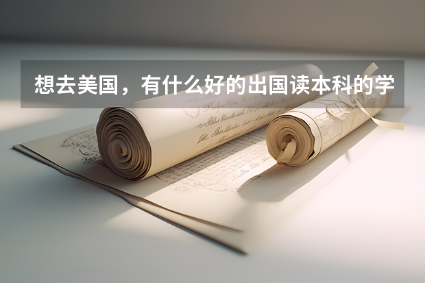 想去美国,有什么好的出国读本科的学校推荐?