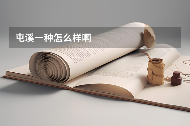 屯溪一种怎么样啊