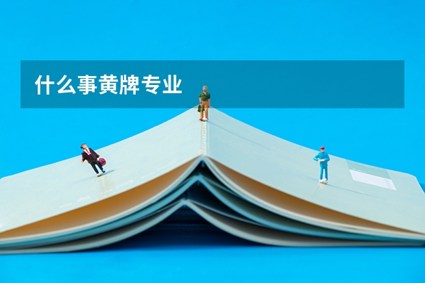 什么事黄牌专业