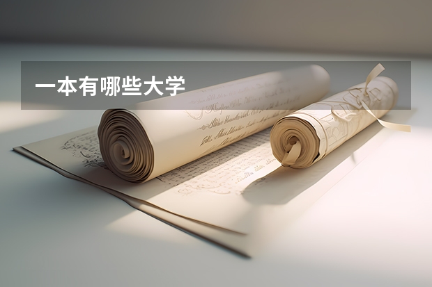 一本有哪些大学