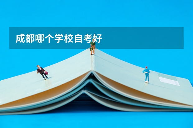 成都哪个学校自考好