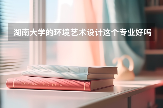 湖南大学的环境艺术设计这个专业好吗？