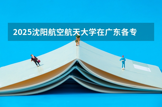 2025沈阳航空航天大学在广东各专业招生人数