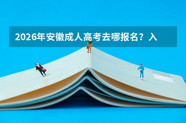 2026年安徽成人高考去哪报名？入口与材料