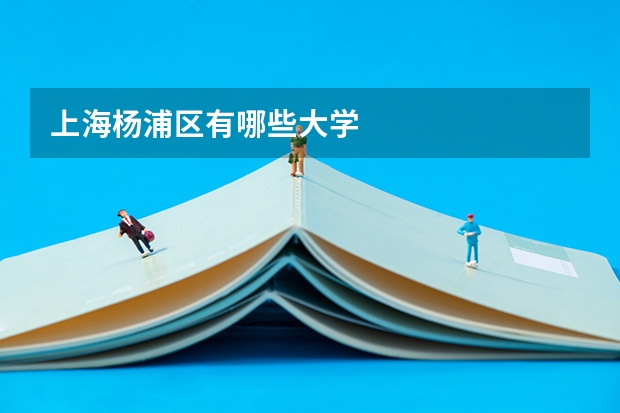 上海杨浦区有哪些大学