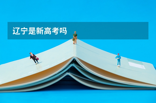辽宁是新高考吗