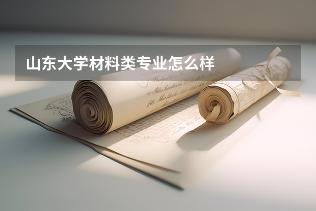 山东大学材料类专业怎么样