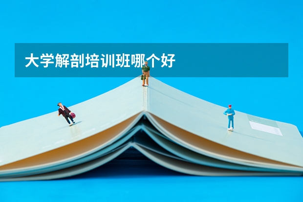 大学解剖培训班哪个好