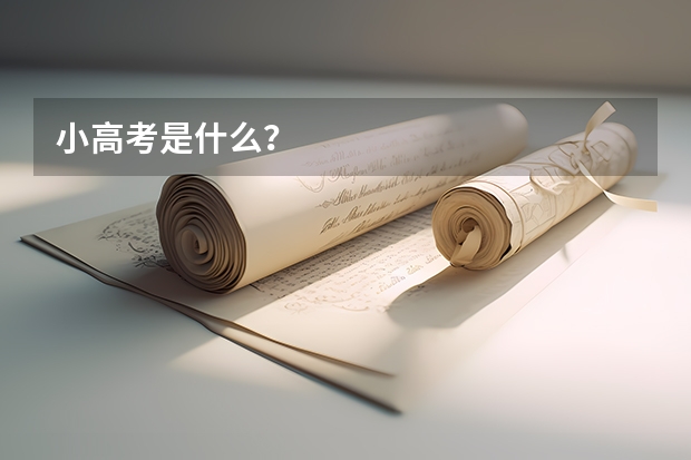 小高考是什么?